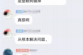 长葛为什么选择专业追讨公司来处理您的债务纠纷？